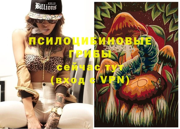 бутират Пересвет