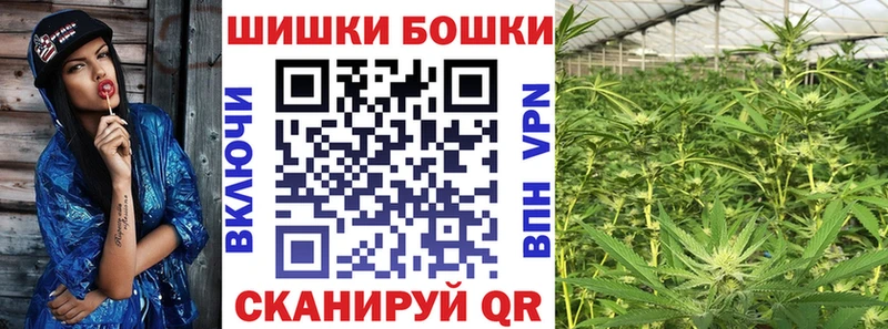 Бошки Шишки VHQ  Колпашево 